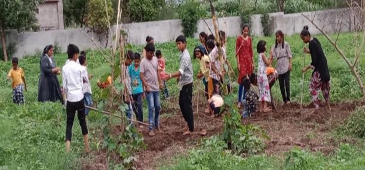 NDF Environment Stewardship Project 