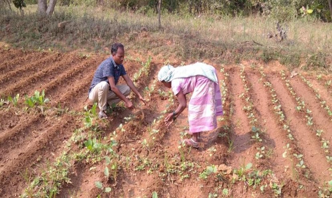 Farmers Activities