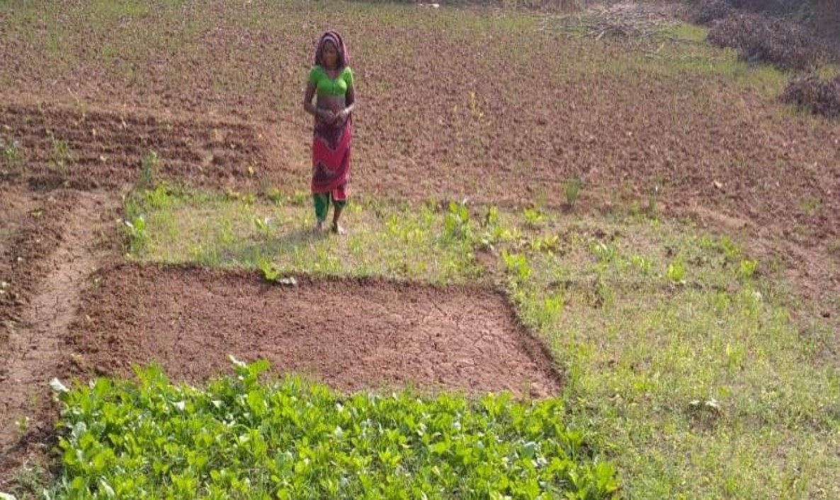 Farmers Activities