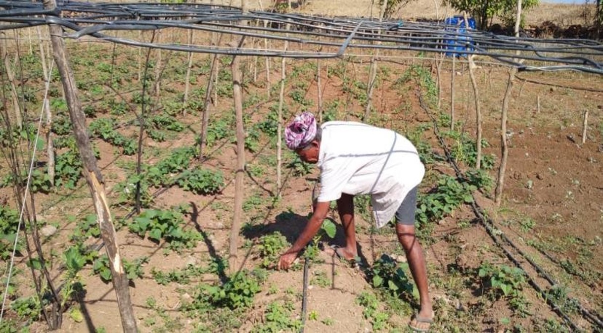 Farmers Activities