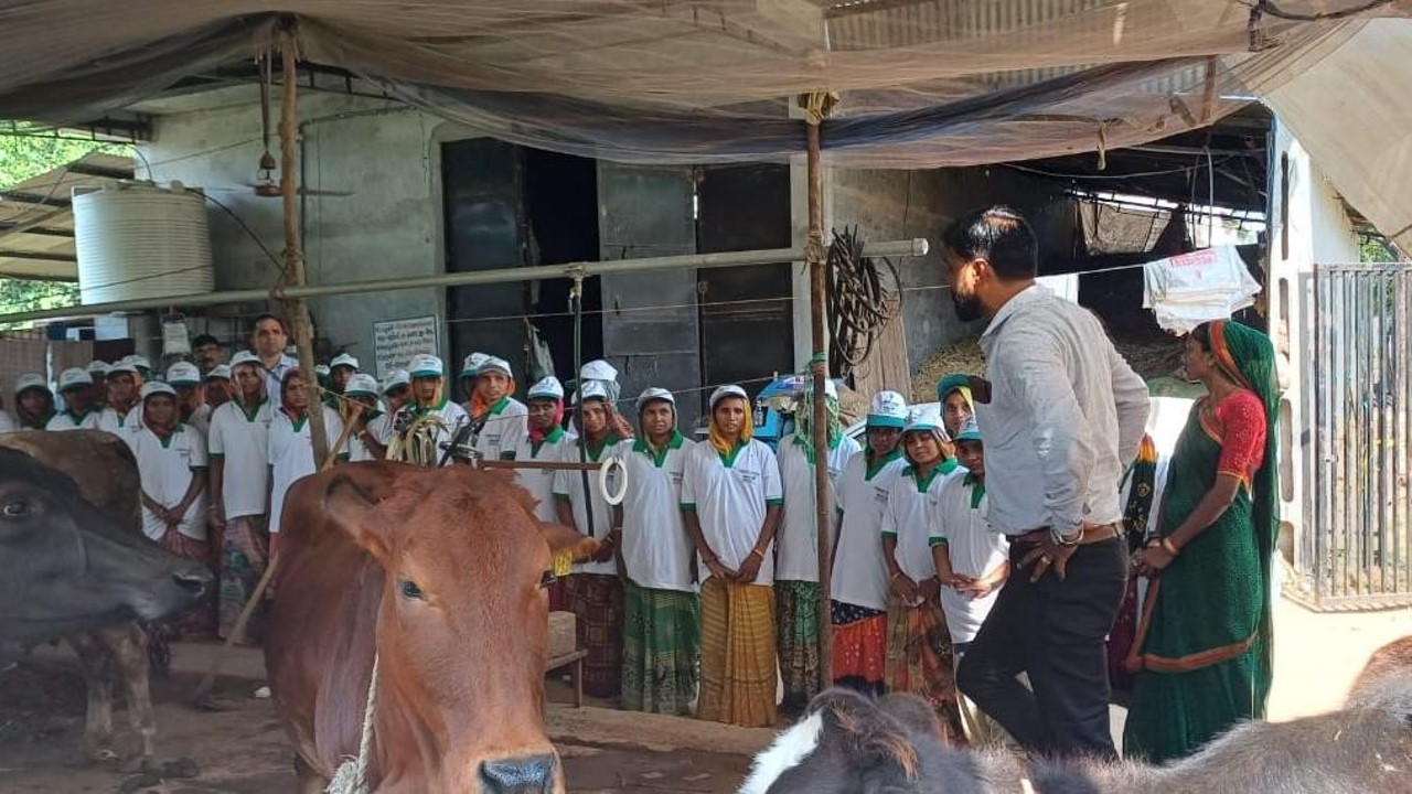Farmers Program