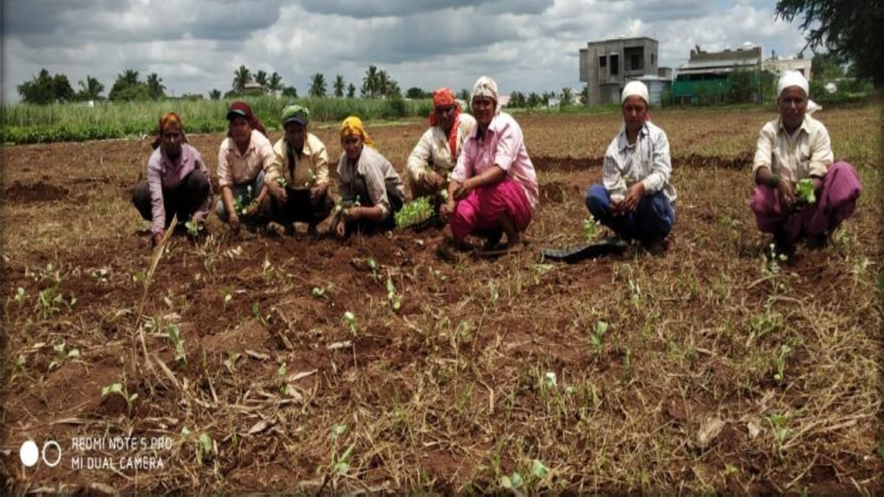 FARMERS PROGRAMS