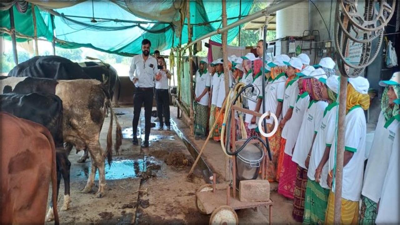FARMERS PROGRAMS