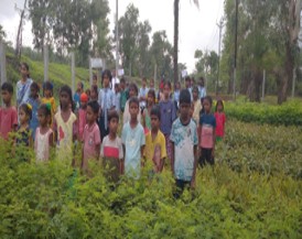 World Environment Day 