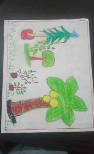 World Environment Day 